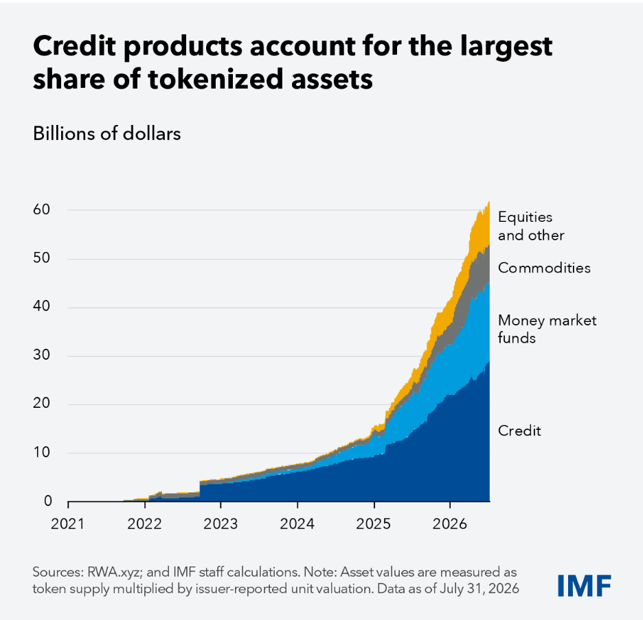 IMF and tokenized stocks
