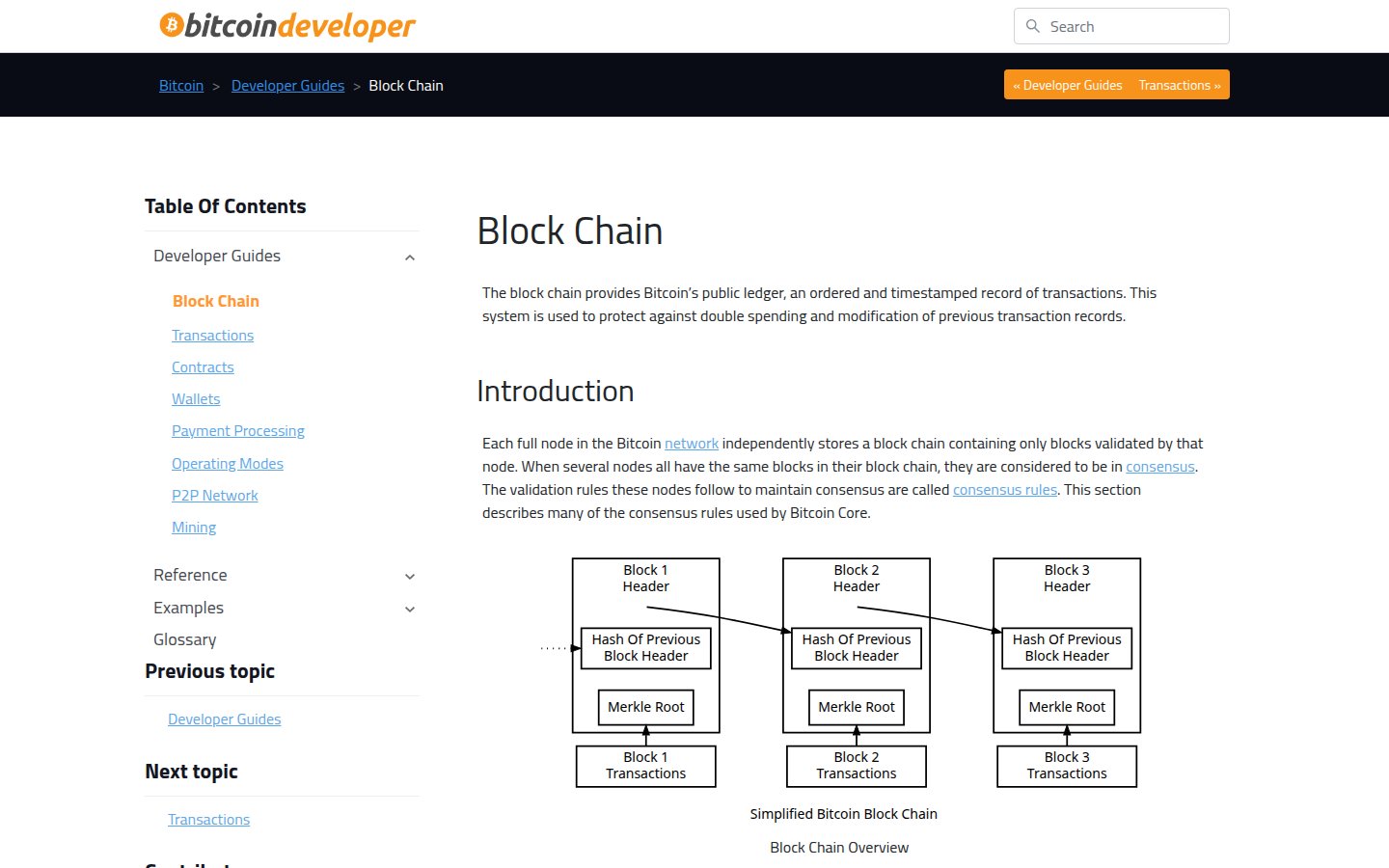 Desktop screenshot of the Bitcoin Developer Guide page titled Block Chain, showing an explanation of the public ledger and a block-chain diagram.